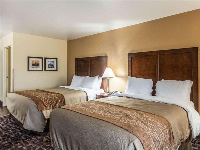 Comfort Inn & Suites North Aurora - Naperville Dış mekan fotoğraf
